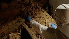 El documental que entra a les criptes del Valle de Cuelgamuros