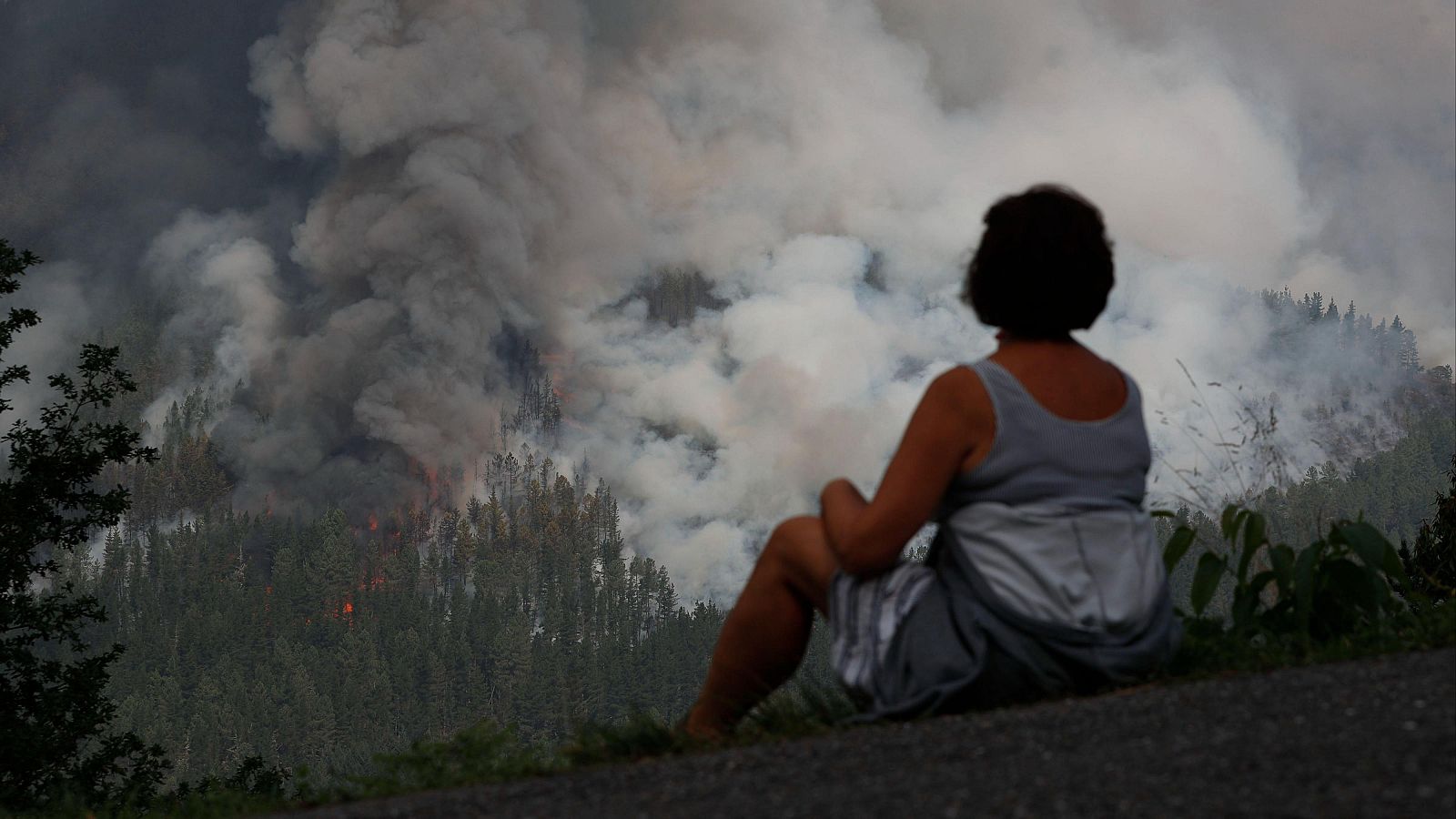 Estudio 'Protección Civil (IV)', del CIS, centrado en la gestión de los incendios forestales.