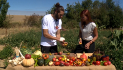 Negro del Escorial: el mejor tomate de España cultivado en Palencia