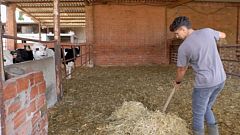 Jóvenes en el campo: el mayor acto de rebeldía