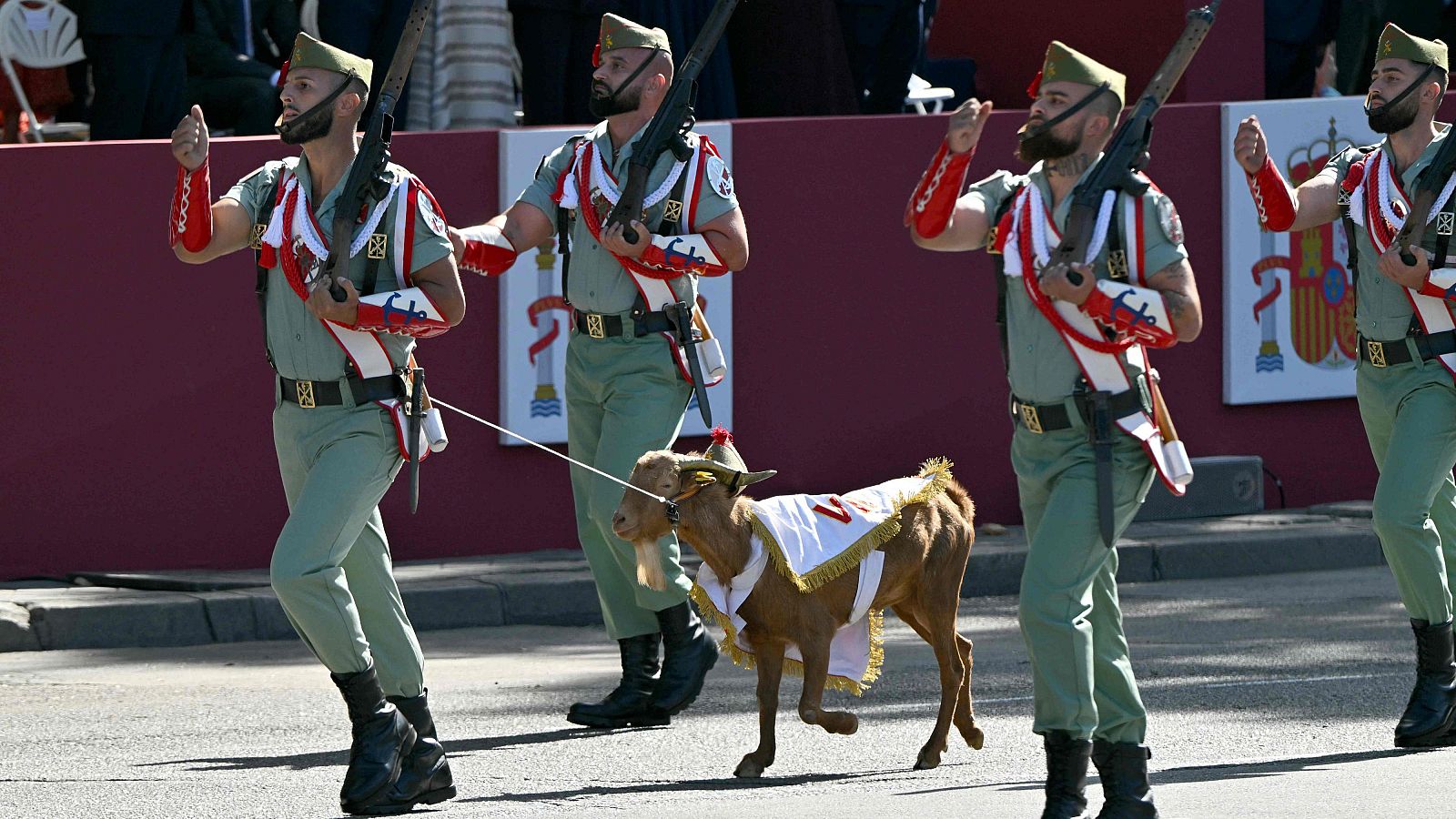 La cabra Babieca desfila junto a efectivos de la Legión
