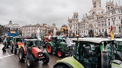 Las grandes asociaciones agrarias convocan una tractorada el 28 de octubre en Madrid: "El sector no puede más"
