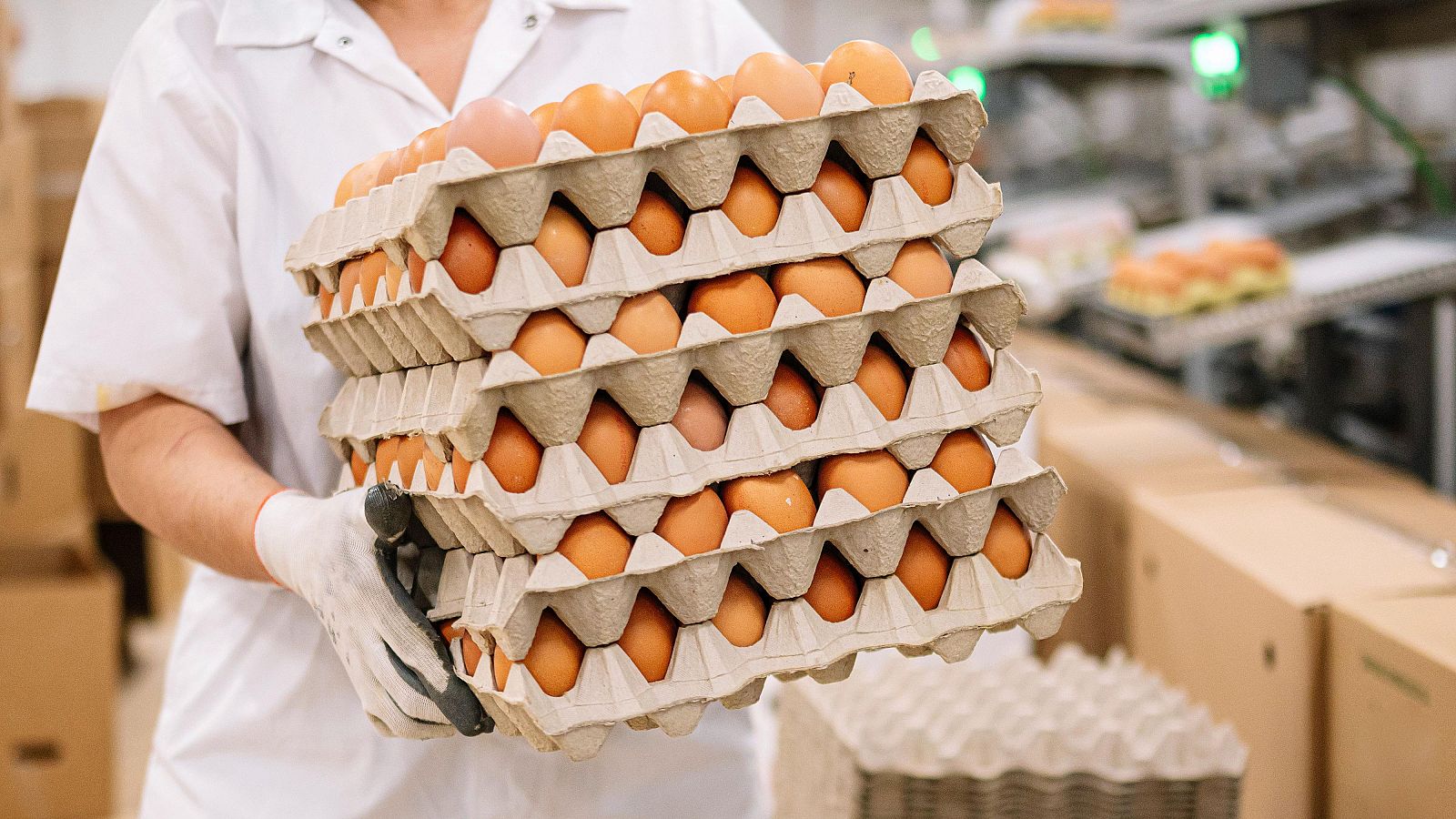 Alerta por salmonela en huevos frescos procedentes de España
