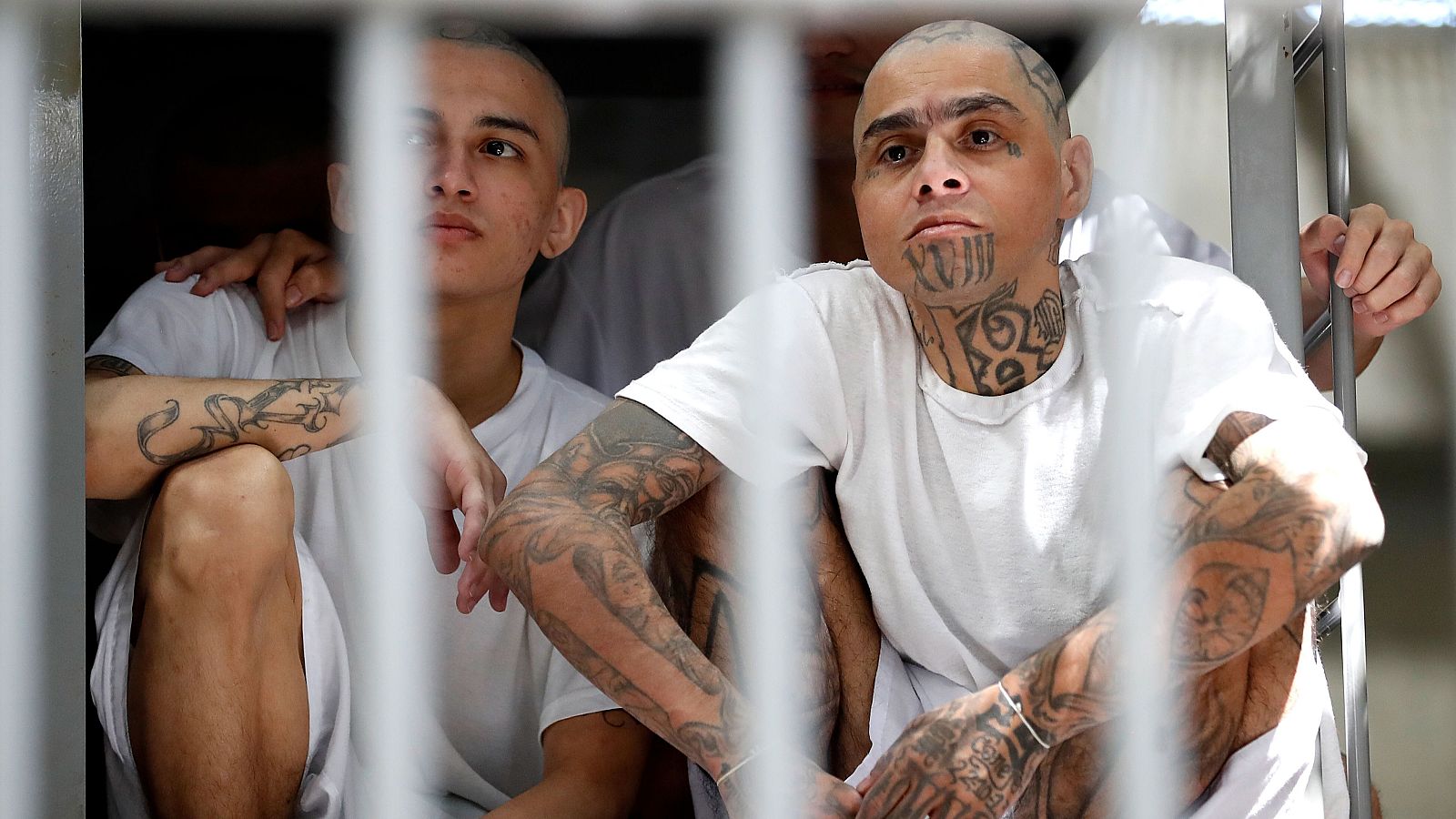 En una celda con rejas grises, varios hombres con la cabeza rapada y camisetas blancas posan. Destacan los elaborados y extensos tatuajes que cubren sus rostros, cuellos y brazos, en una escena iluminada con luz brillante.