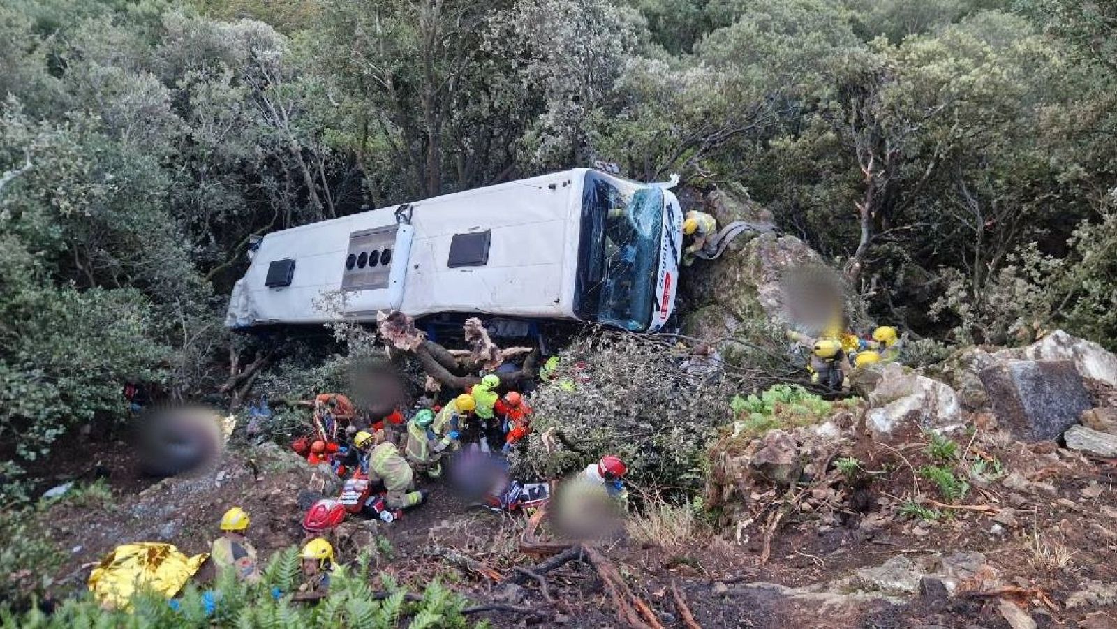 L'autobús de la línia 573 de la companyia Sagalés que s'ha precipitat des d'una alçada d'uns 20 metres a la BV-5114