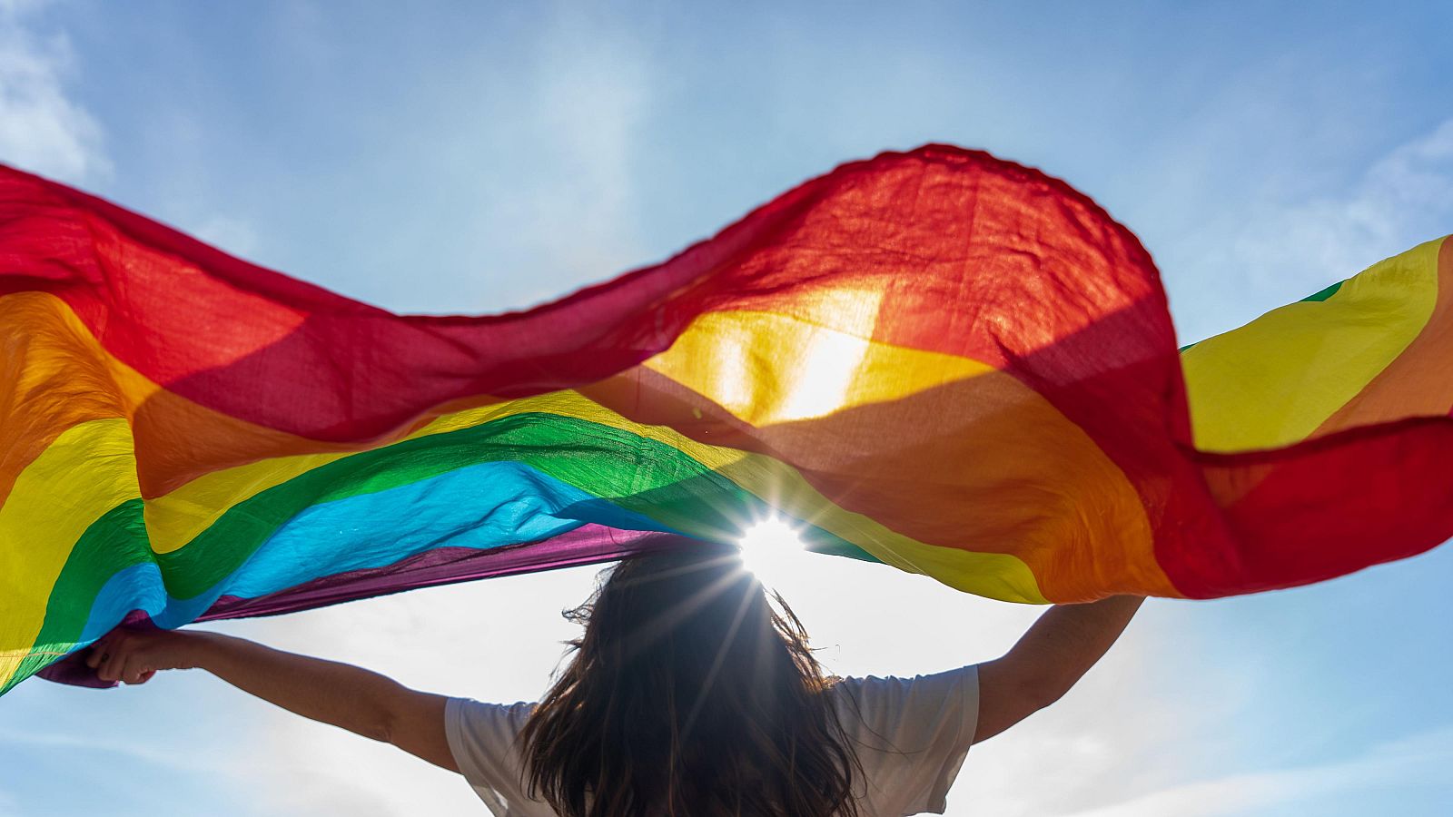 Persona de espaldas con pelo oscuro sostiene una gran bandera arcoíris ondeante bajo un sol brillante y cielo azul. Celebración y orgullo.