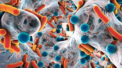 Las bacterias multirresistentes causan 35.000 muertos al año en España