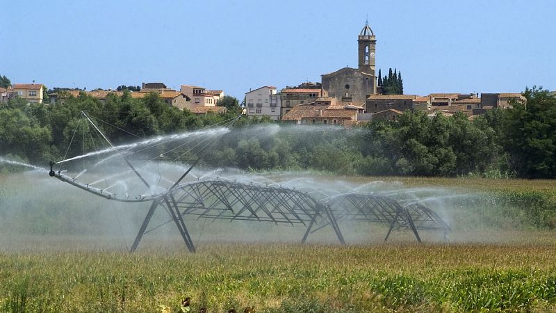 Cada español desperdicia el equivalente a 131 litros de agua al día en alimentos