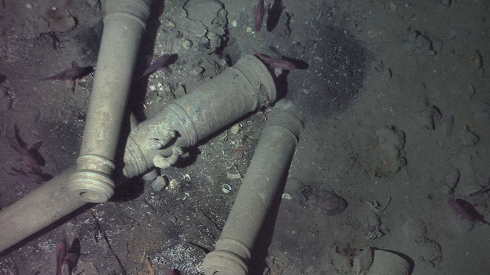 Fotografia en la que se pueden apreciar los característicos delfines que decoran los cañones del San José.