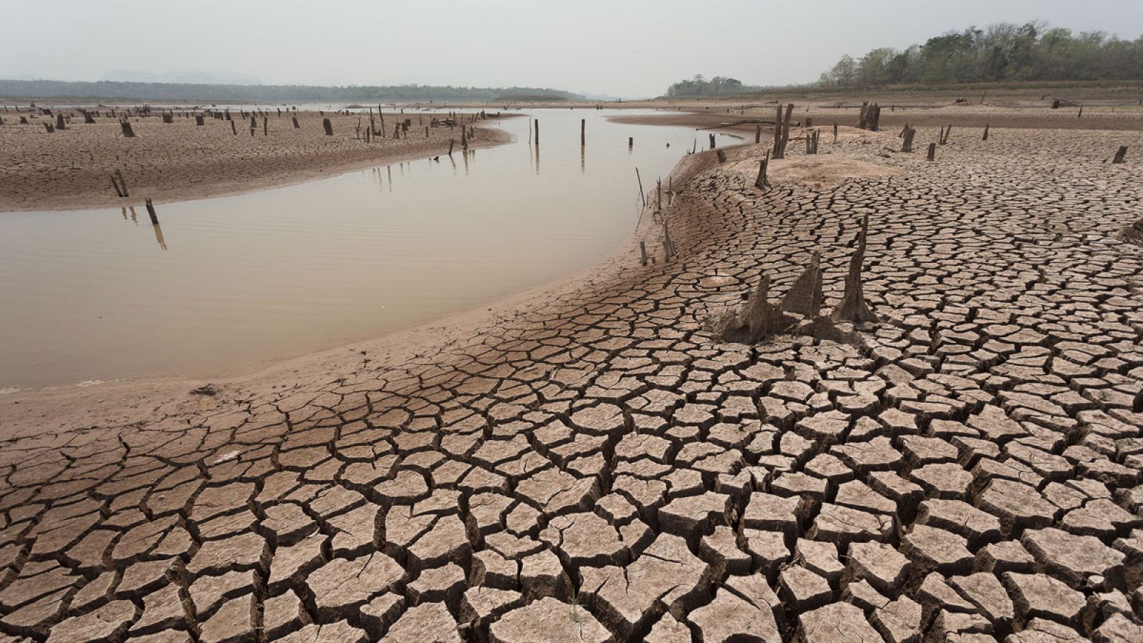 El aumento de la temperatura causaría graves amenazas a los ecosistemas, los sistemas humanos y las sociedades y las economías asociadas.