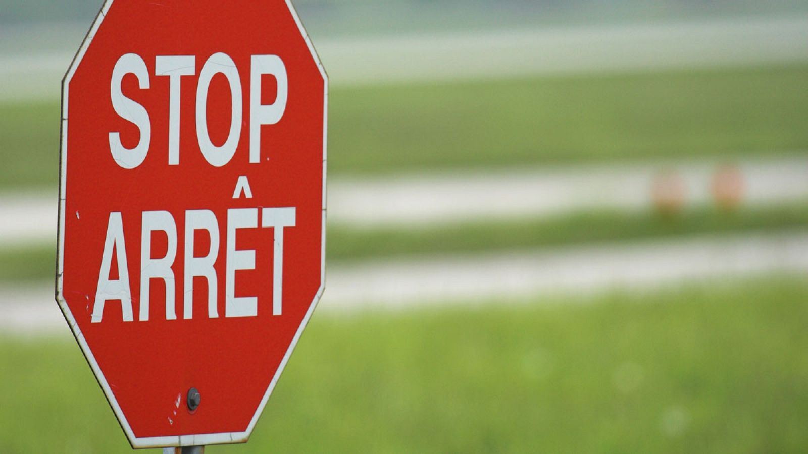 Los experimentos se han centro en cómo trabaja el cerebro de las personas bilingües cuando procesa las palabras.