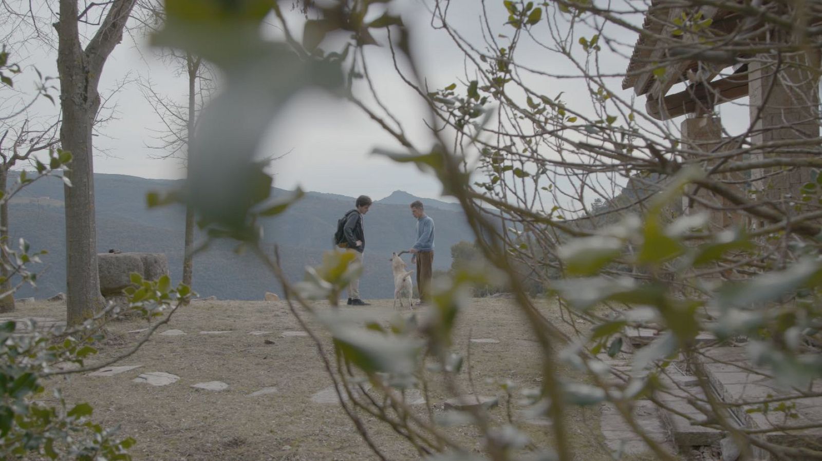 'La meva mascota i jo'