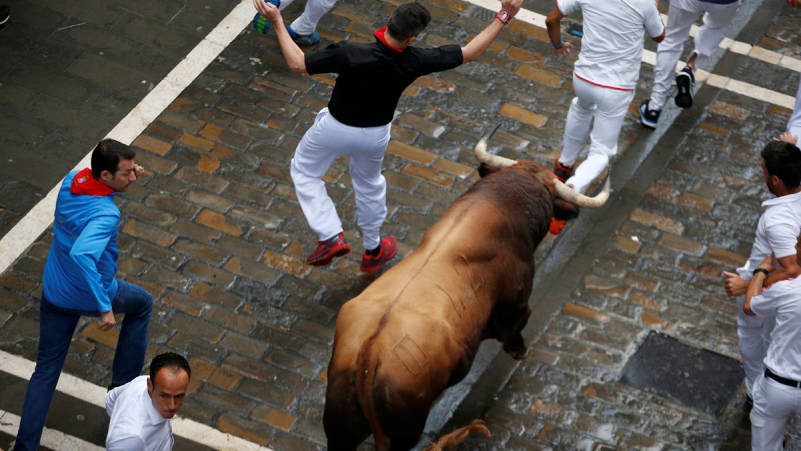 Toro de la ganaderiá 'Puerto de San Lorenzo' en San Fermín 2017