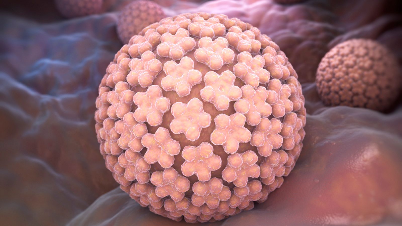 El VPH es la infección de transmisión sexual más común entre las personas, que extraordinariamente puede derivar en lesiones precancerosas o incluso en tumores malignos.