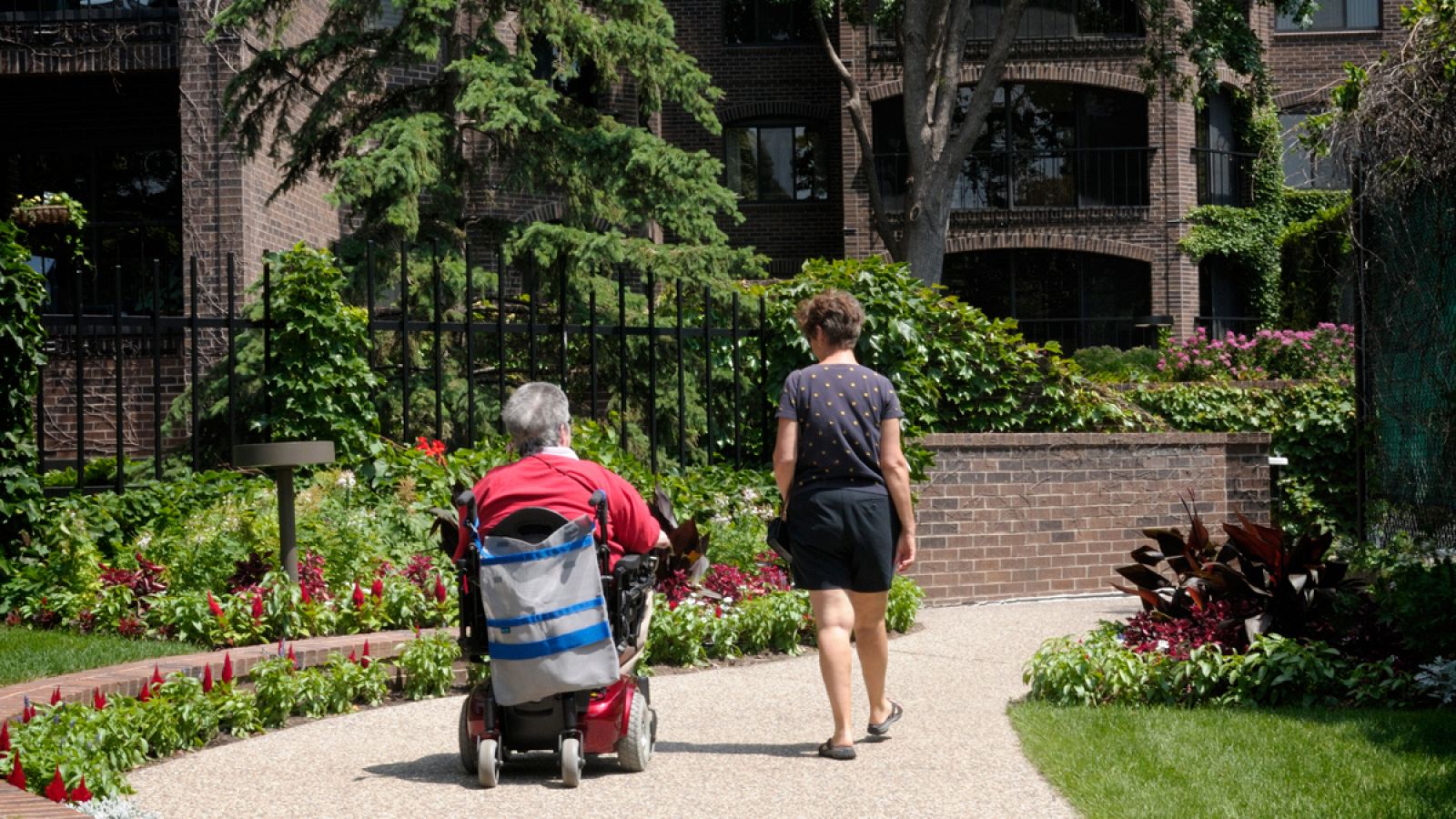 La esclerosis múltiple es una enfermedad autoinmune que ataca y destruye una estructura que se denomina ¿vaina de mielina¿.