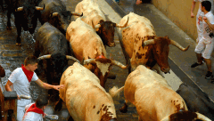 Segundo encierro de San Fermín bastante limpio pese a la lluvia