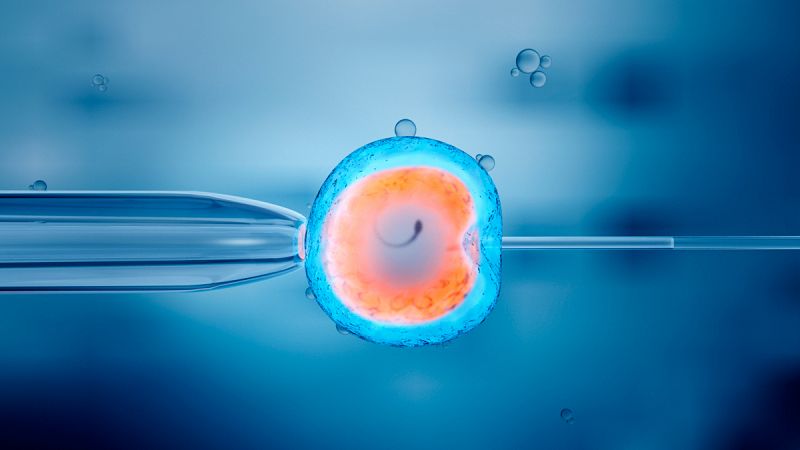 Más de ocho millones de nacimientos por fecundación in vitro en 40 años desde la primera 'bebé probeta'