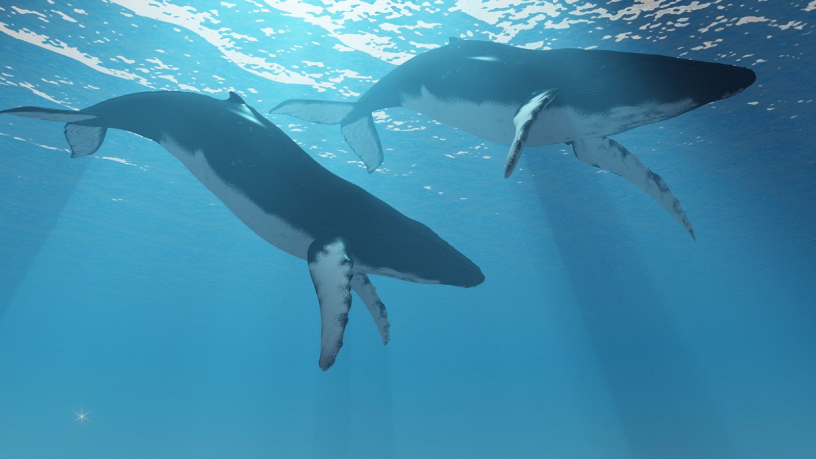 Dos ballenas en aguas del Ártico