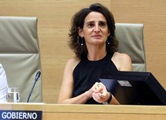 La ministra de Transición Ecológica anuncia "medidas urgentes" para fomentar las renovables y el autoconsumo