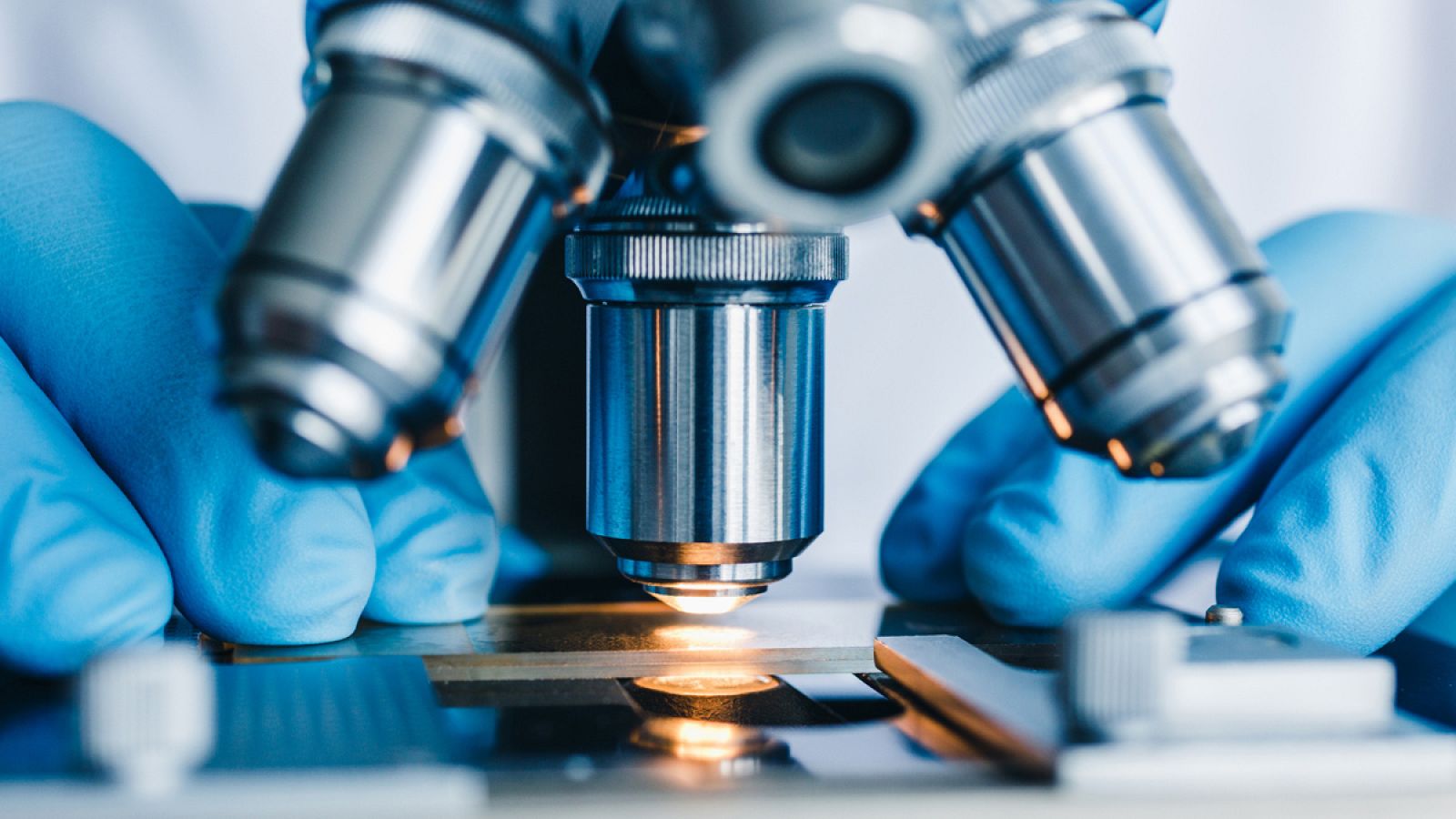 La Confederación de Sociedades Científicas de España (Cosce) agrupa a 82 sociedades científicas.