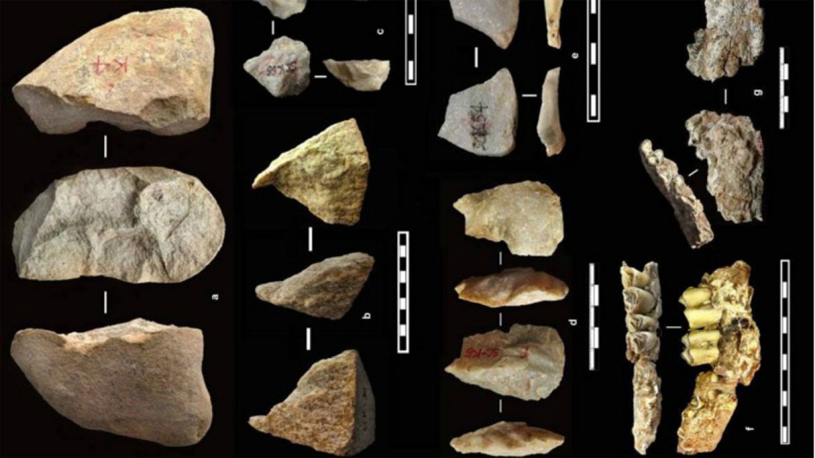 Entre los artefactos hallados figuran raspadores, puntas, picos y buriles.