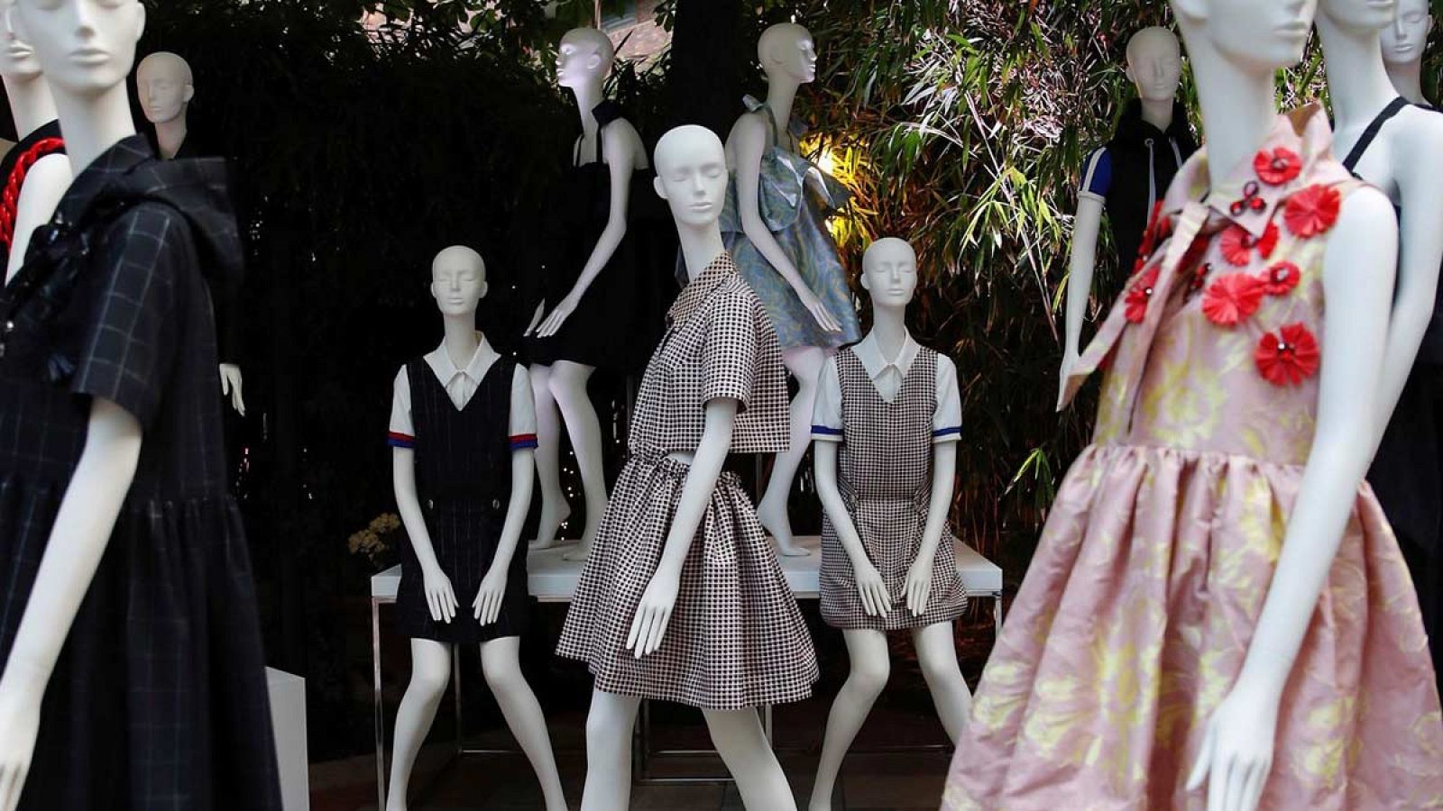 Colección de Moisés Nieto