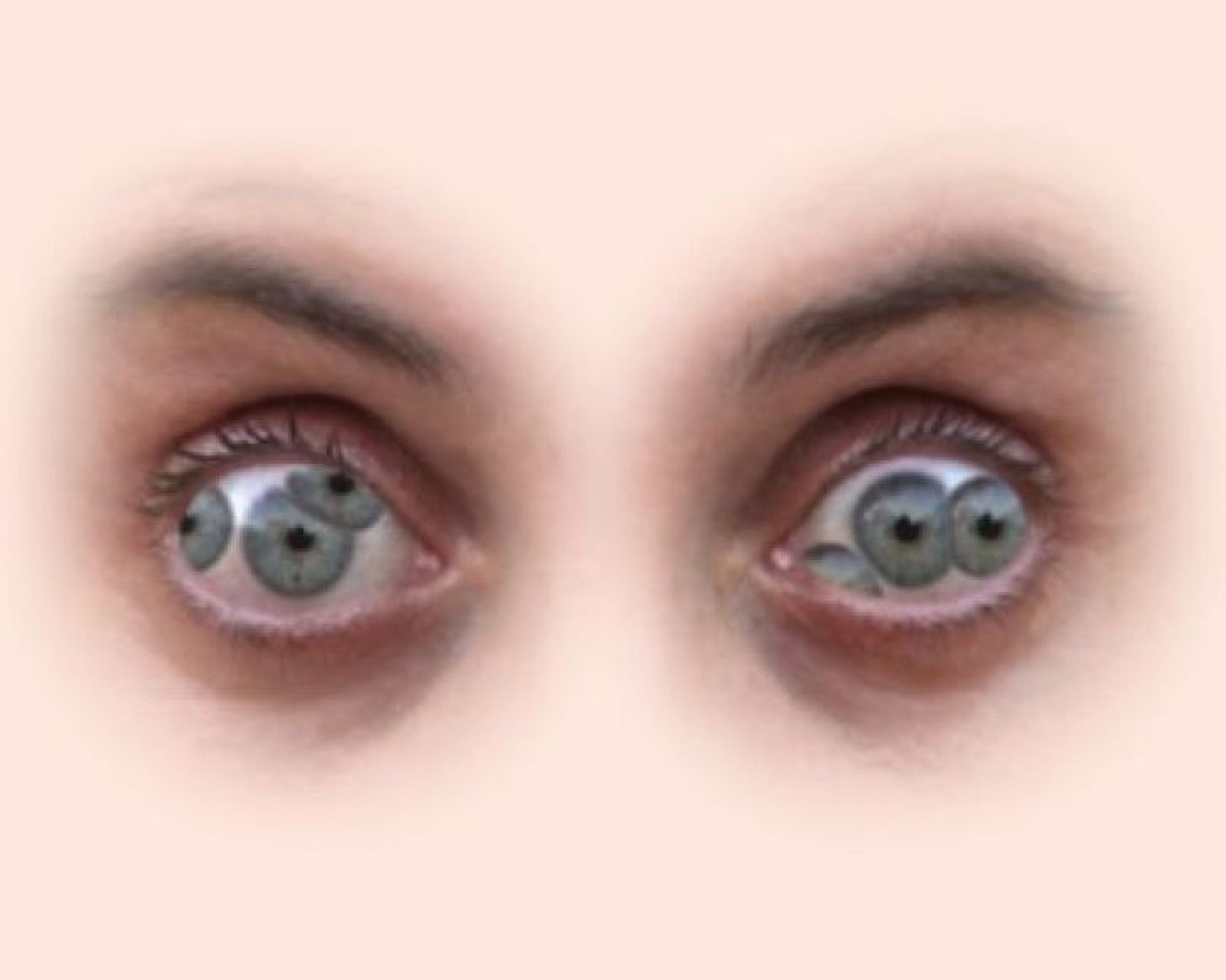 metropolis marina marina nunez