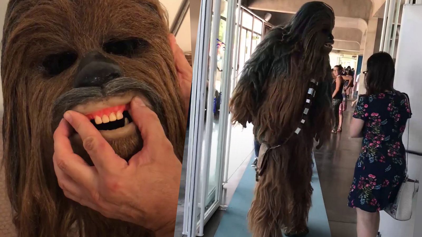 Cómo ser Chewbacca