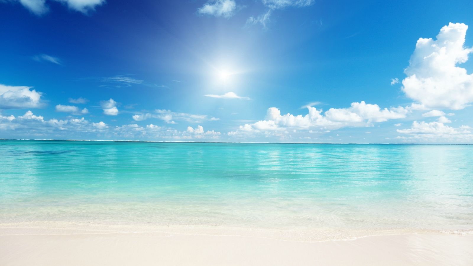 Programación de Radio Clásica en agosto