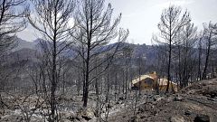 Los bomberos de Valencia dan por estabilizado el incendio de Llutxent y los vecinos vuelven a sus casas