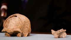 La pereza contribuyó a la extinción del 'Homo erectus', según un estudio