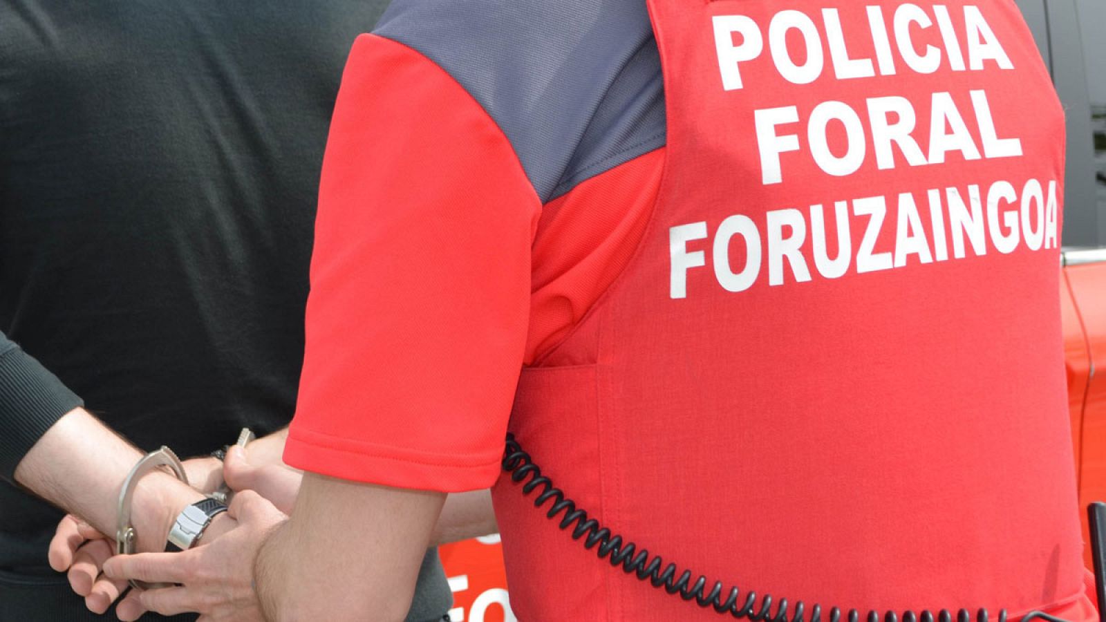 Imagen de archivo de un agente del cuerpo de la Policía Foral-Foruzaingoa de Navarra.