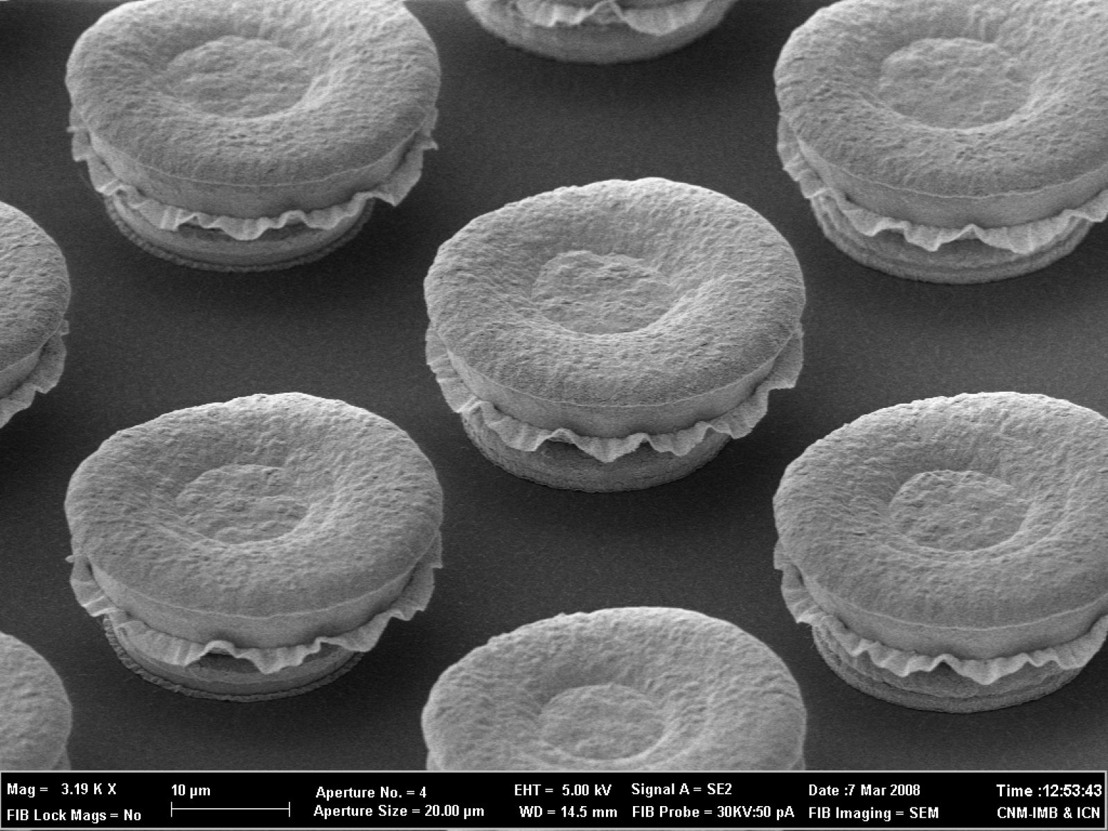 Premian la imagen de una 'nano-hamburguesa' de dos investigadores catalanes