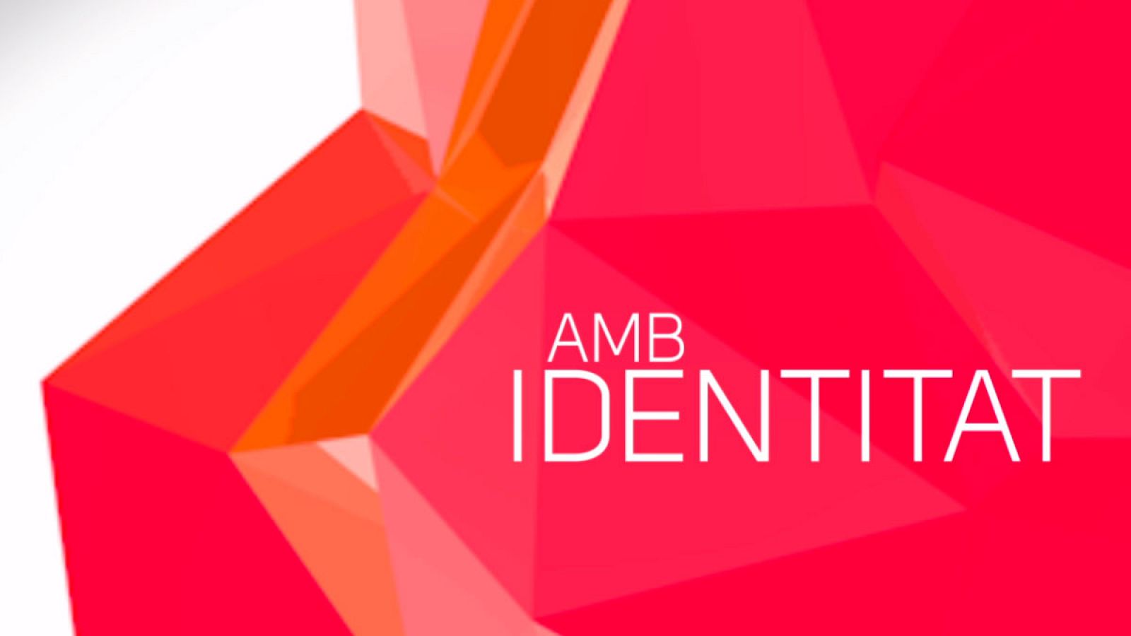 logo-amb-identitat