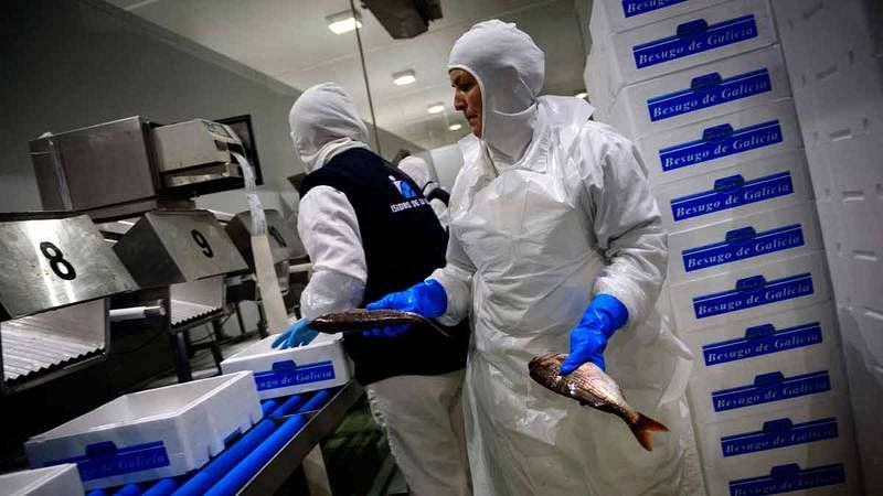 La Seguridad Social pierde 202.996 afiliados, el peor agosto en la última década