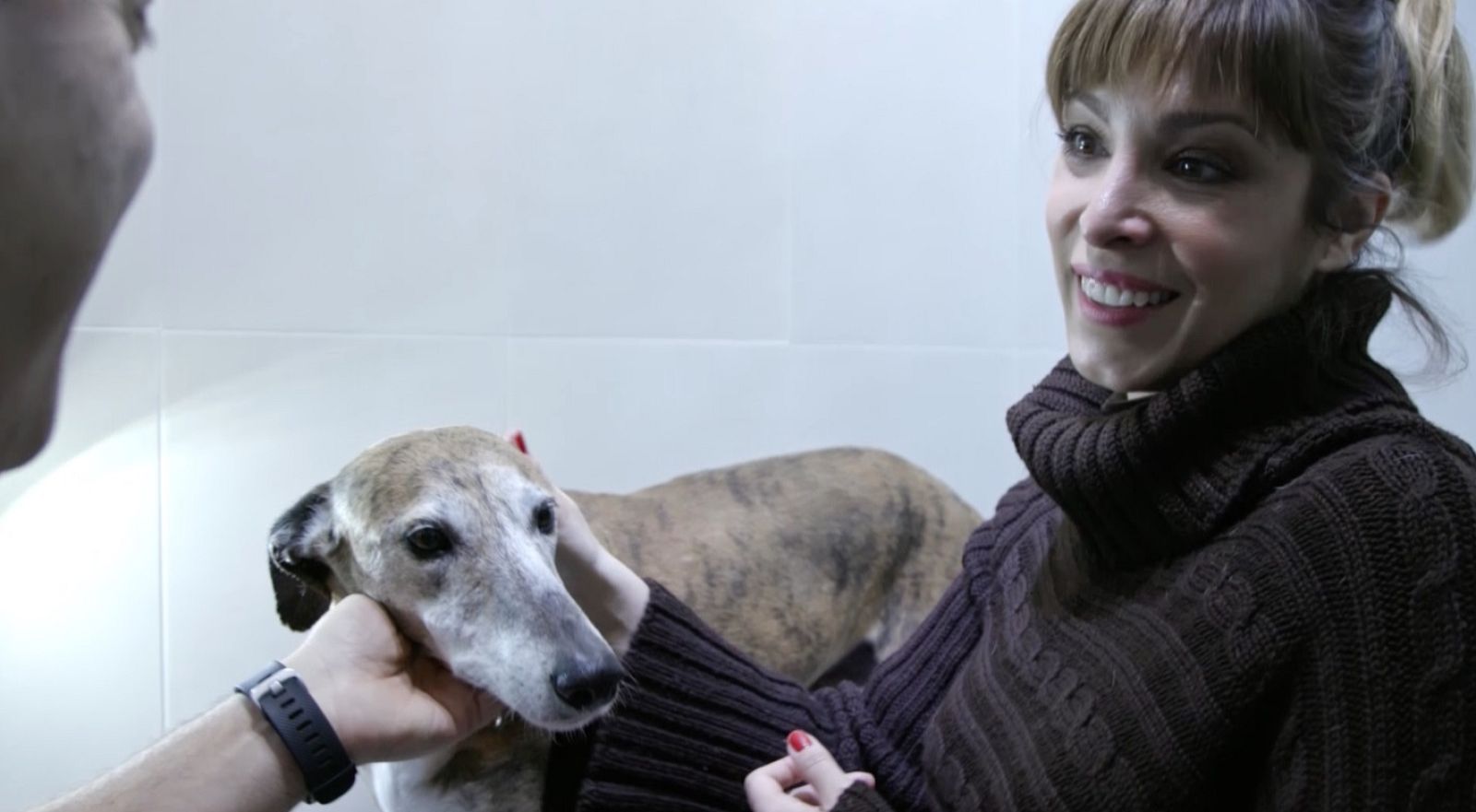 Gisela a SOS Galgos