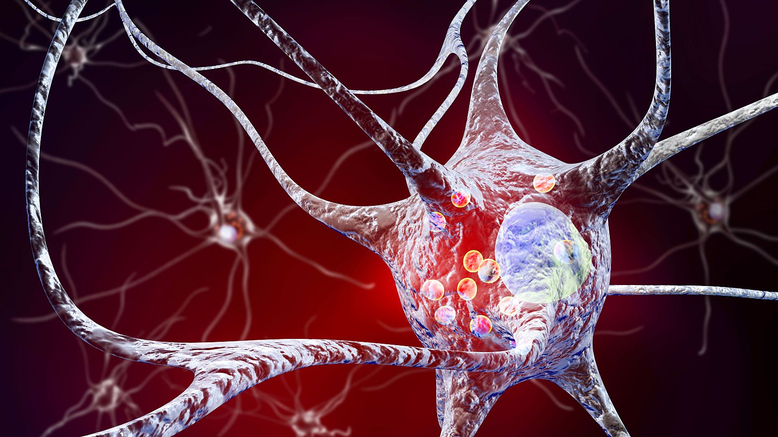 Un equipo de investigadores de Barcelona identifica una molécula que detiene y revierte el párkinson