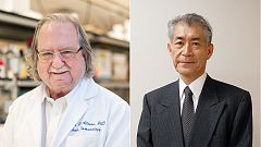 James P. Allison y Tasuku Honjo, Nobel de Medicina 2018 por sus descubrimientos en inmunoterapia contra el cáncer