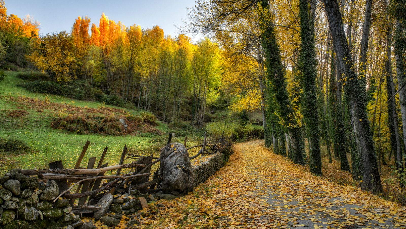 21ª edición del Otoño Mágico en el Valle del Ambroz