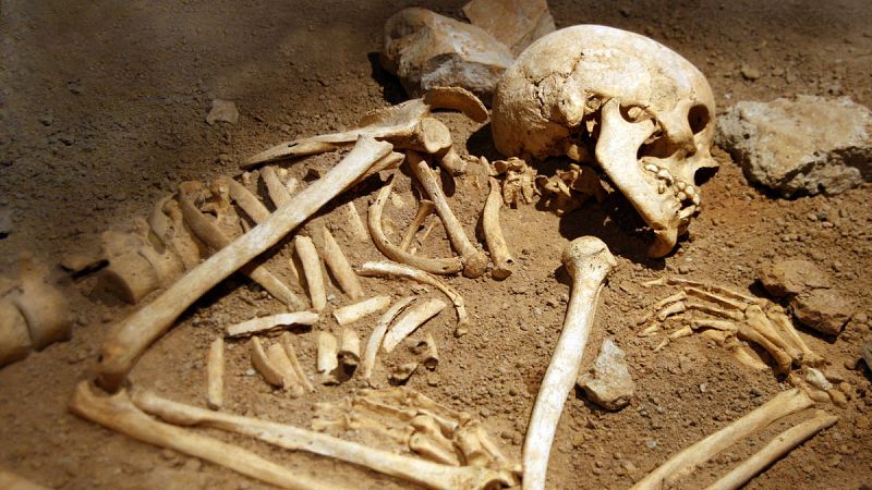 Todos los varones de la Península Ibérica fueron aniquilados por invasores del este de Europa hace 4.500 años