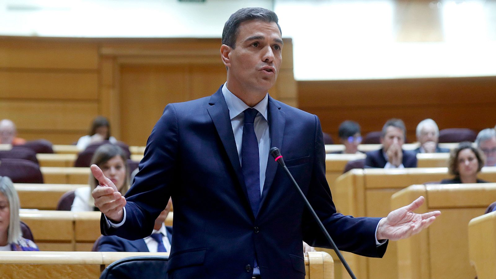 Pedro Sánchez, en el Senado durante una sesión de control al Gobierno