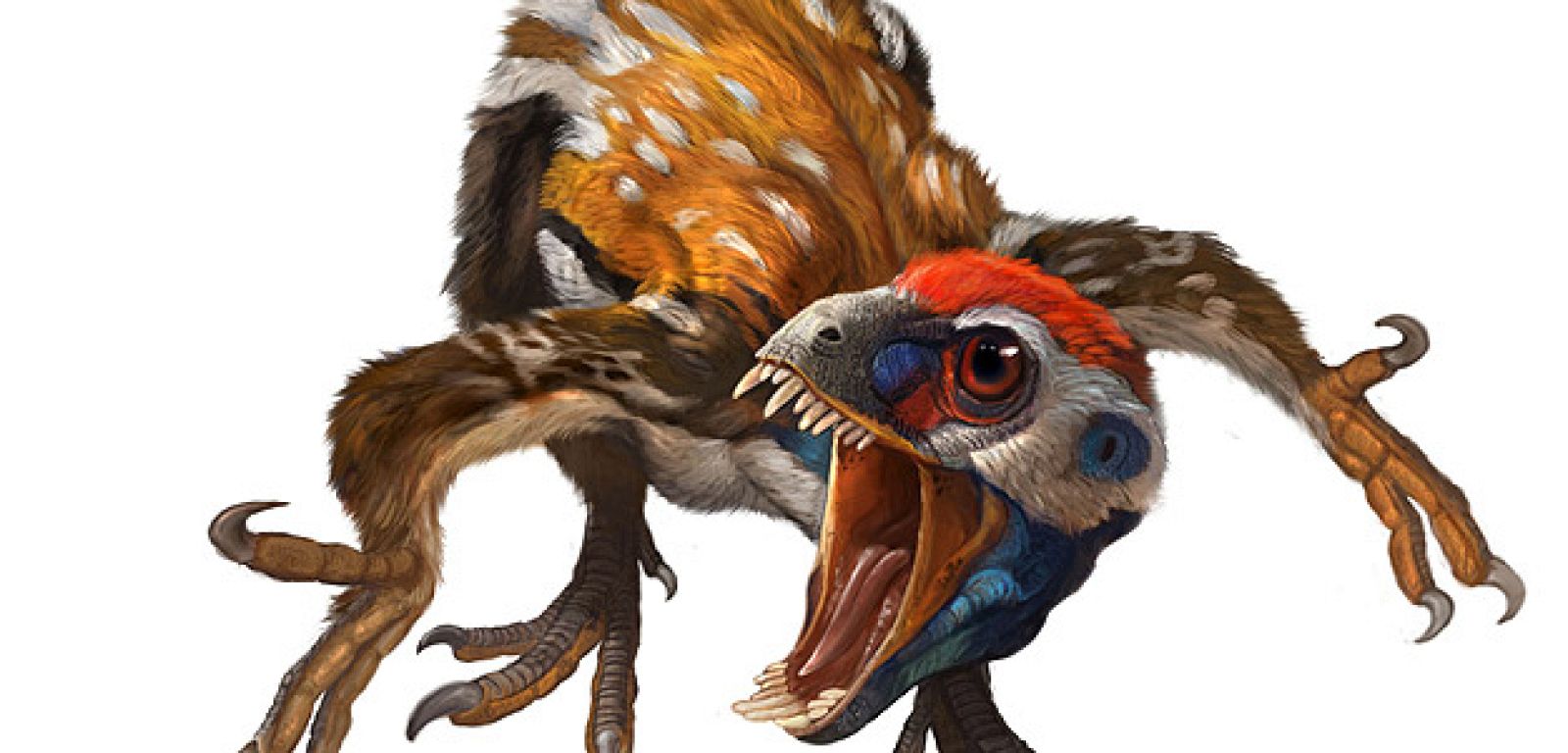 Epidexipteryx-hui, el pájaro más antiguo