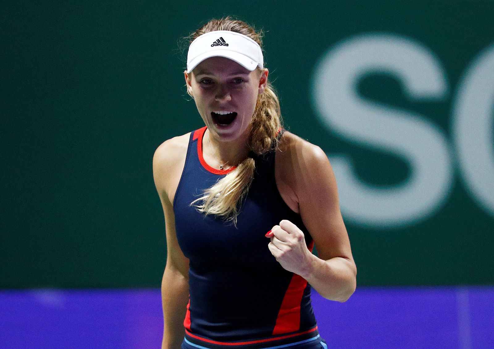 Wozniacki - WTA Tour Finals