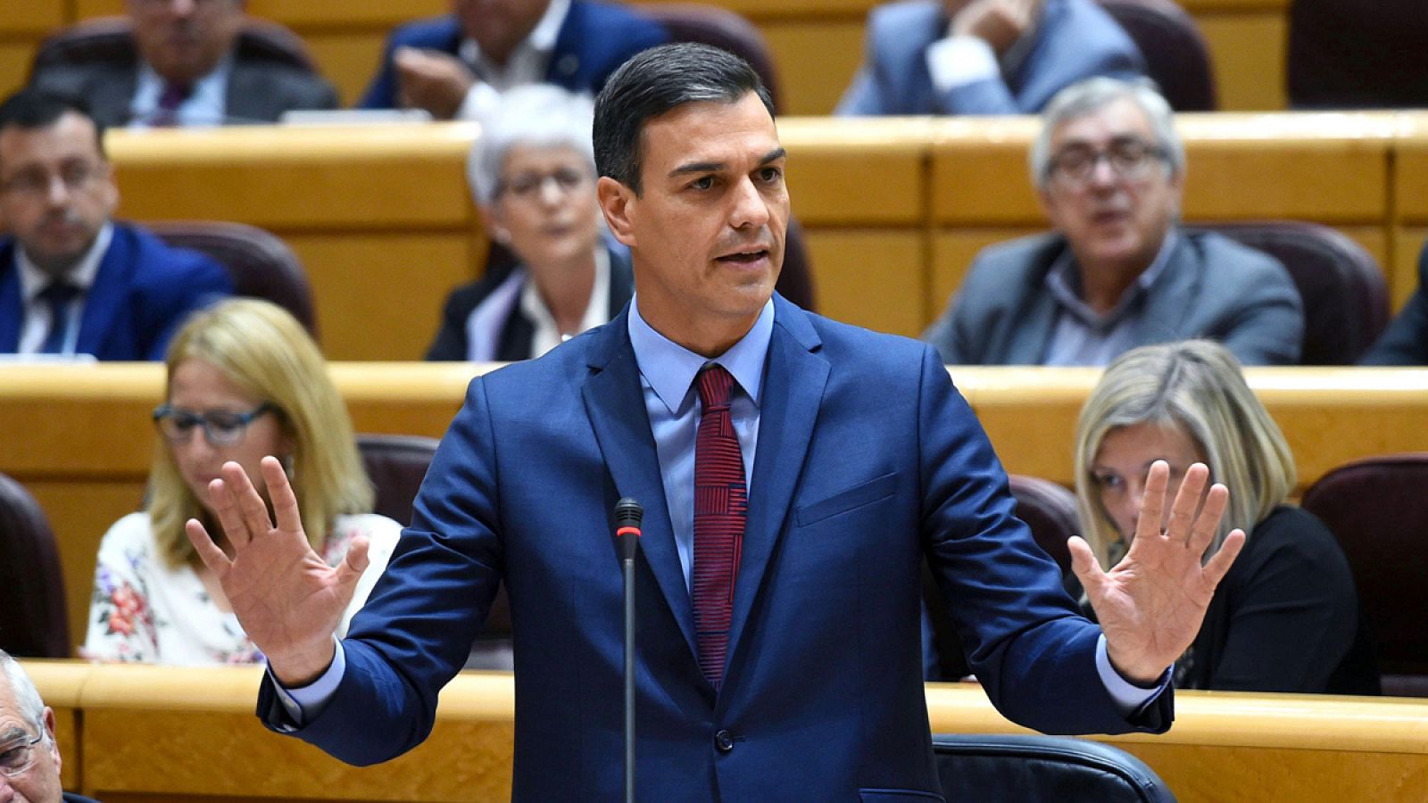Pedro Sánchez, en una sesión de control en el Pleno del Senado