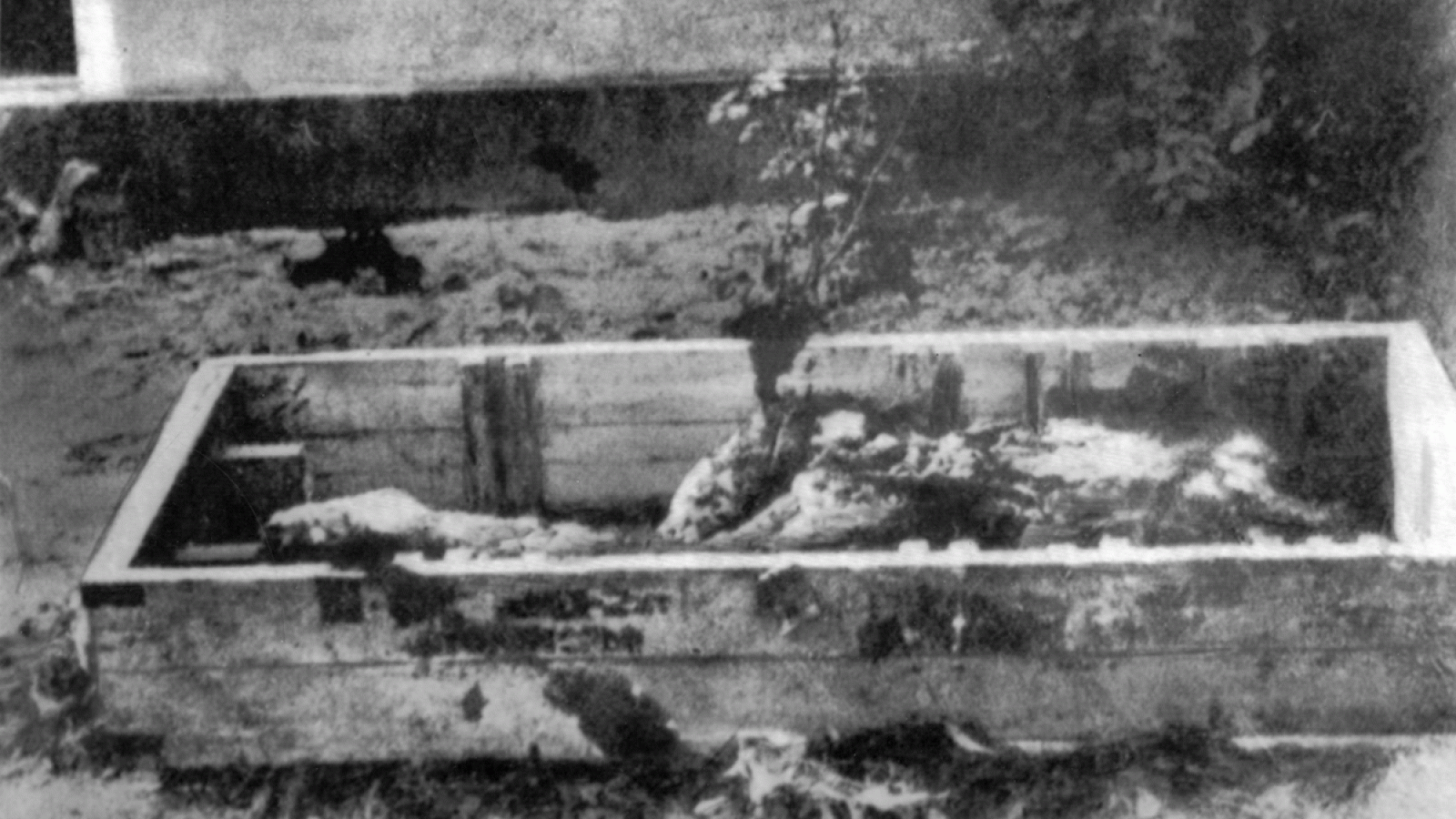 Los supuestos restos de Adolf Hitler, fotografiados por un reportero ruso