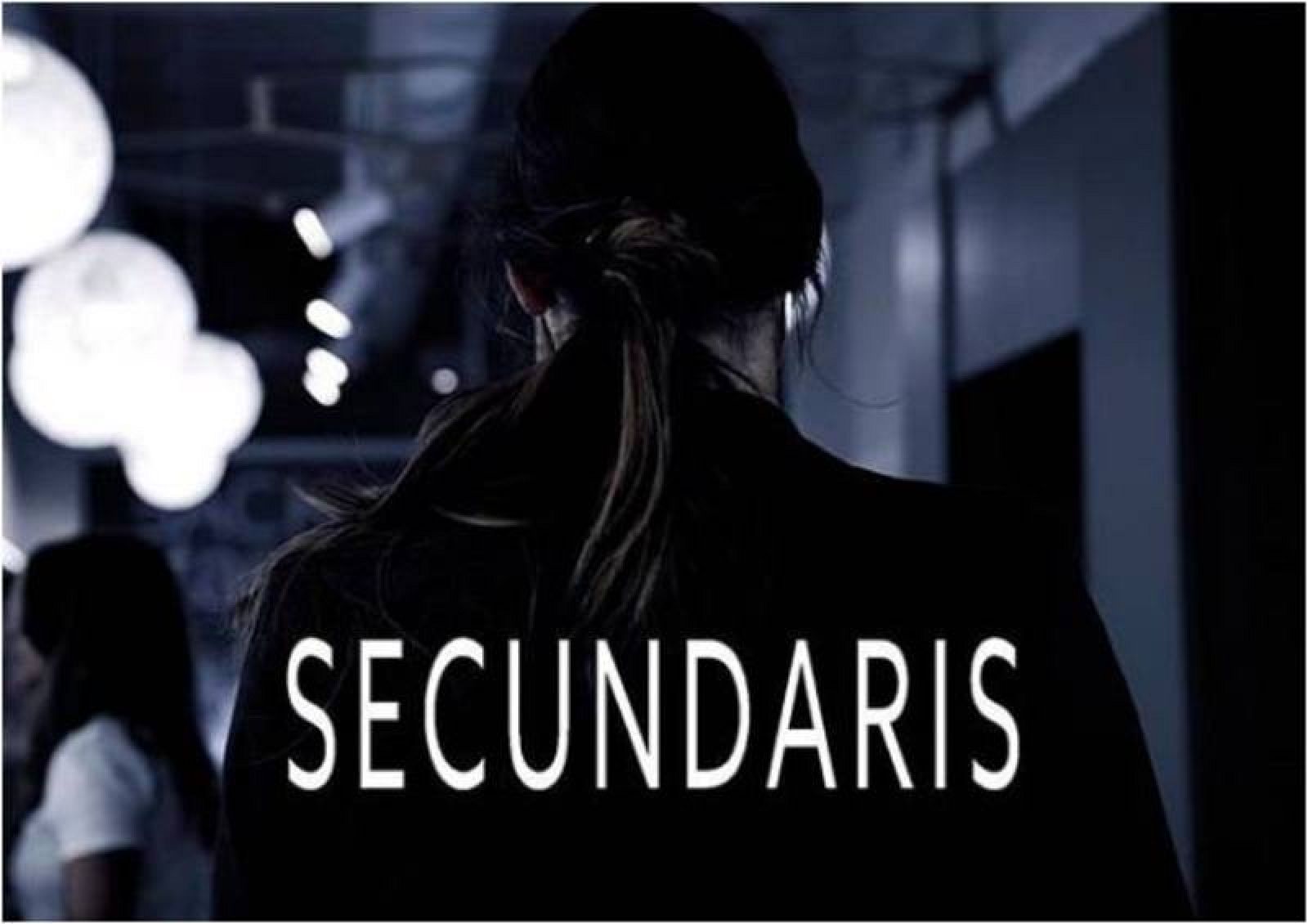 Secundaris