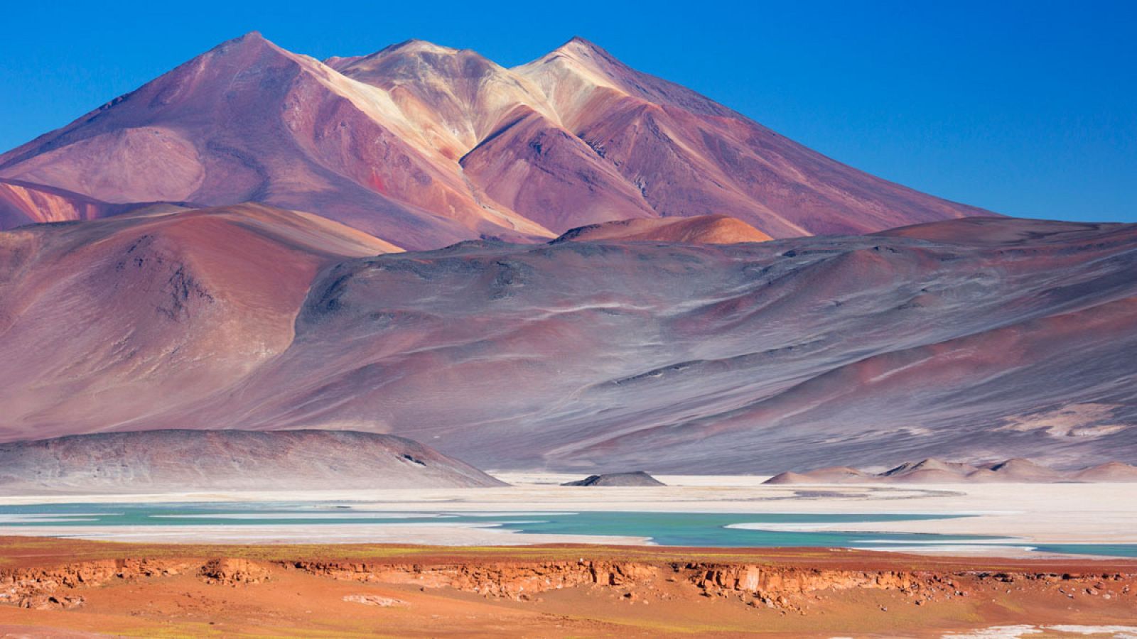 En el corazón hiperárido del desierto de Atacama hacía al menos 500 años que no se registraban lluvias.