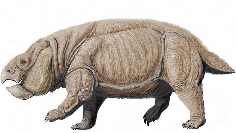 Descubren una especie de dinosaurio con espinas defensivas Descubren una especie de dinosaurio con espinas defensivas