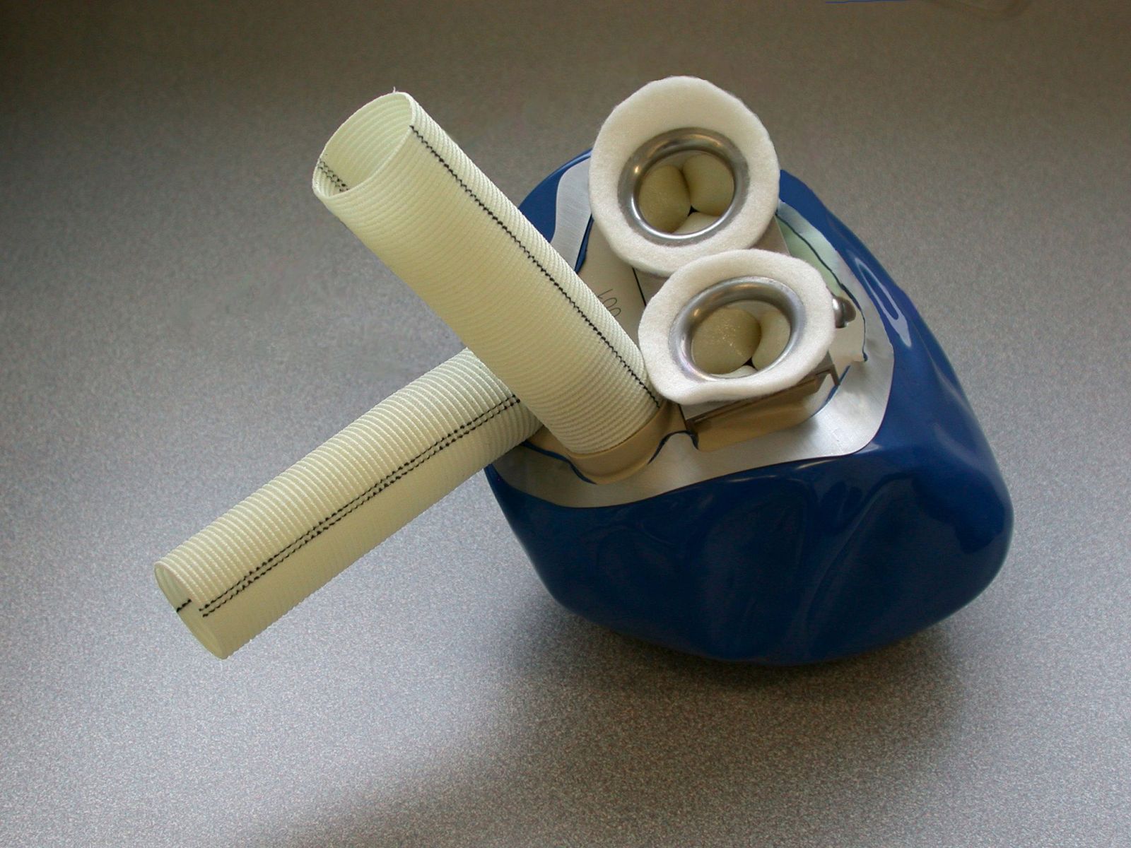 El primer corazón artificial fabricado con materiales orgánicos