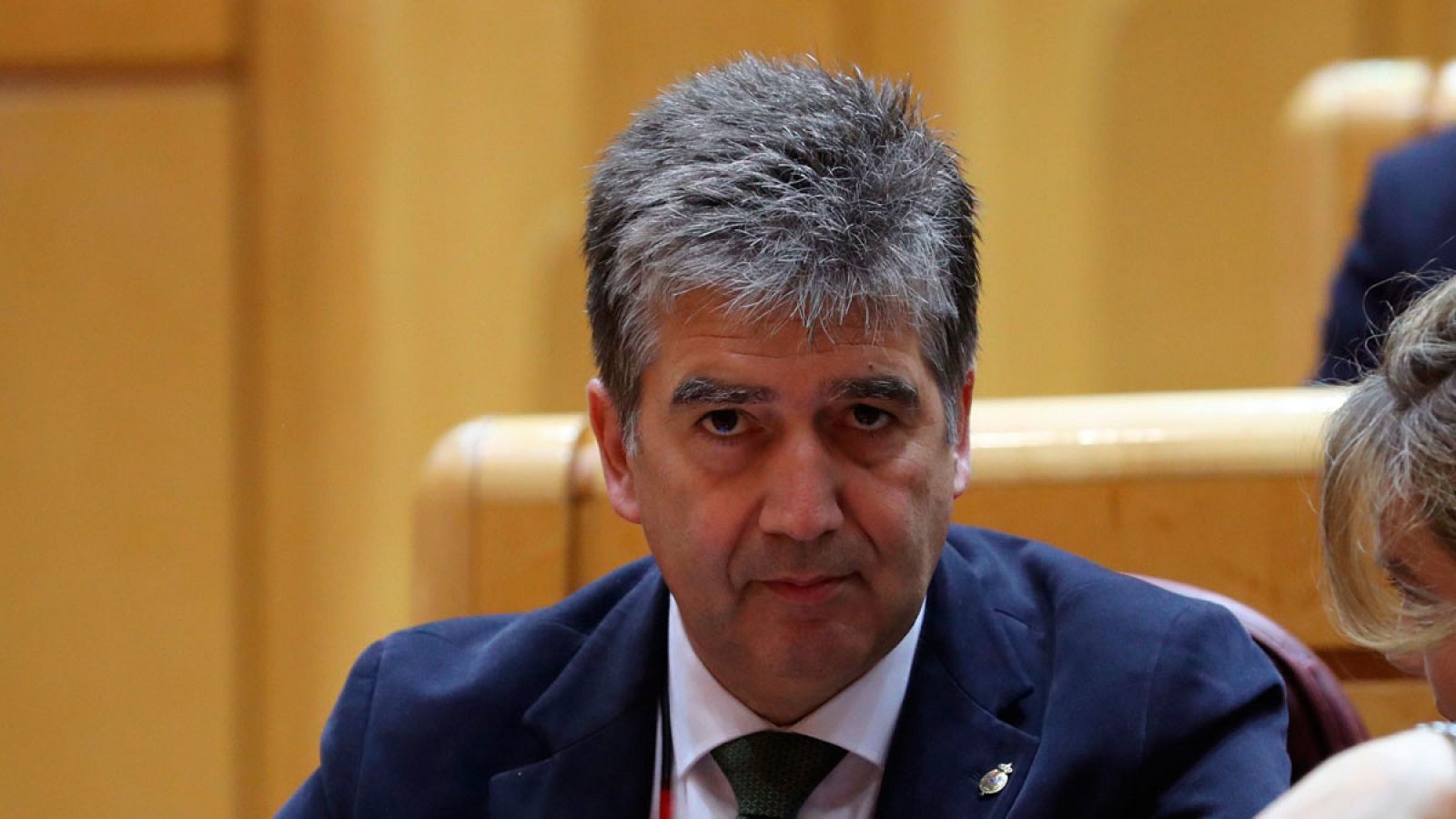 El portavoz del Grupo Popular en el Senado, Ignacio Cosidó, durante el pleno de la Cámara alta